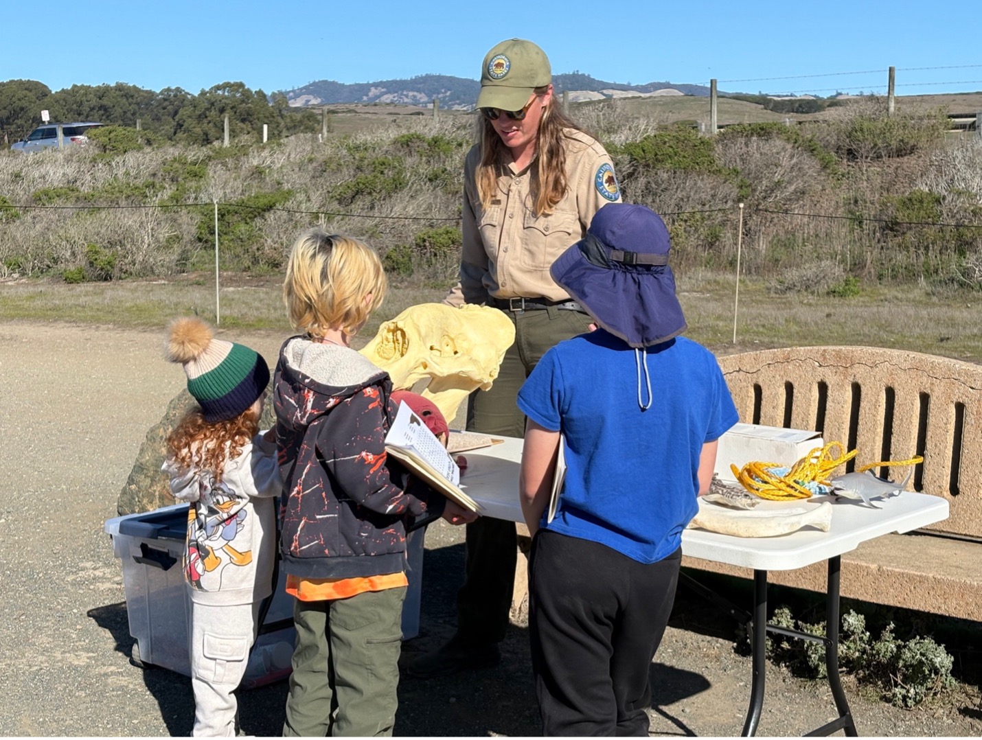 Elephant Seal School Group Program Banner
